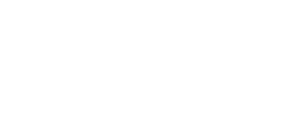 logo cassotis blanc